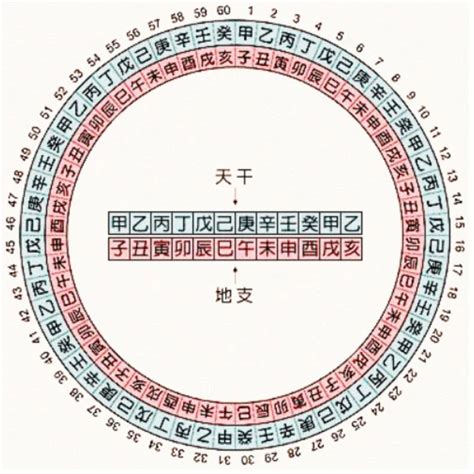 1993年天干|干支对照表